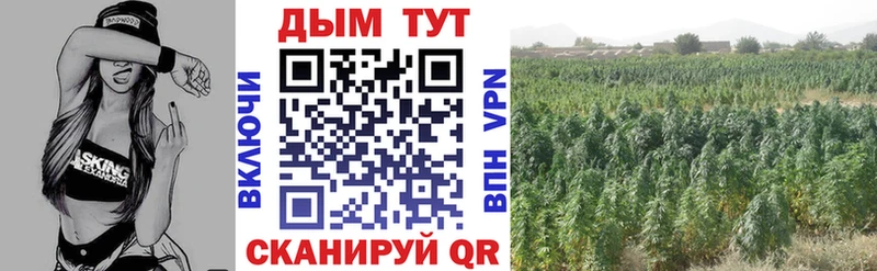 Канабис гибрид Николаевск-на-Амуре